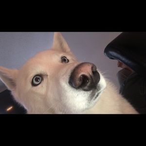 Meet your Posher, Sandra